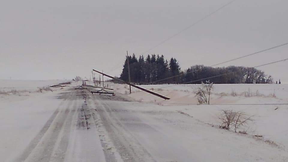 Blizzard showing country road with multiple downed power poles